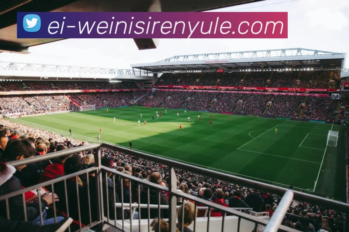 威尼斯人官网平台生态图