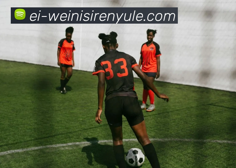 威尼斯人官网APP 封面图